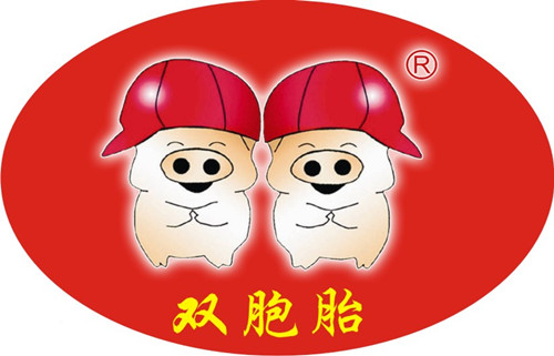 雙胞胎logou_副本.jpg